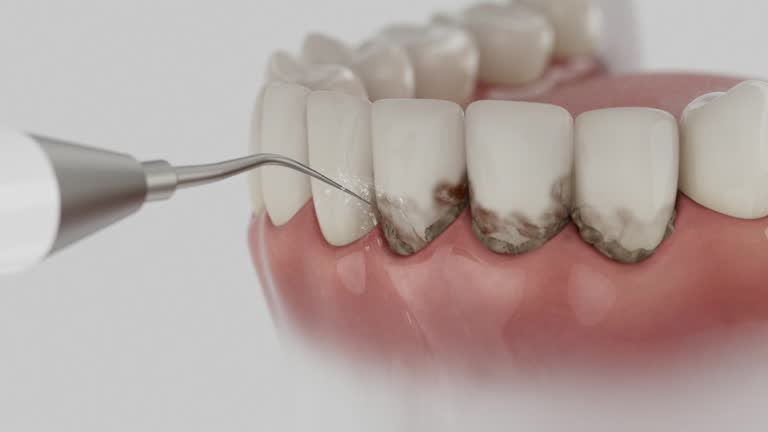 Reliable Dental contractor in Fulton County County, KY by Dentist Open Now